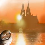 Abendsonne