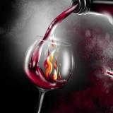 Vino